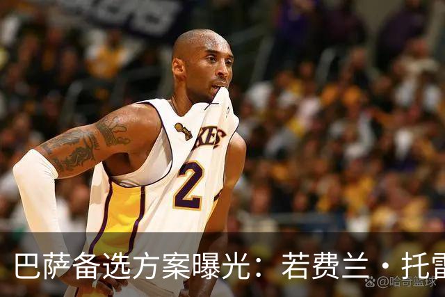 巴萨备选方案曝光：若费兰·托雷斯离队，将求购霍芬海姆前锋阿斯拉尼